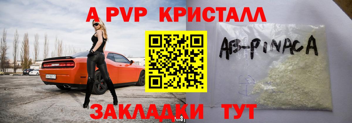 Alfa_PVP СК КРИС Саратов
