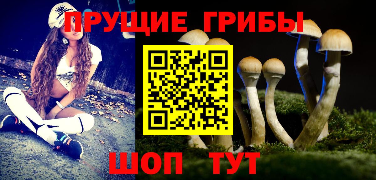 Псилоцибиновые грибы прущие грибы Саратов