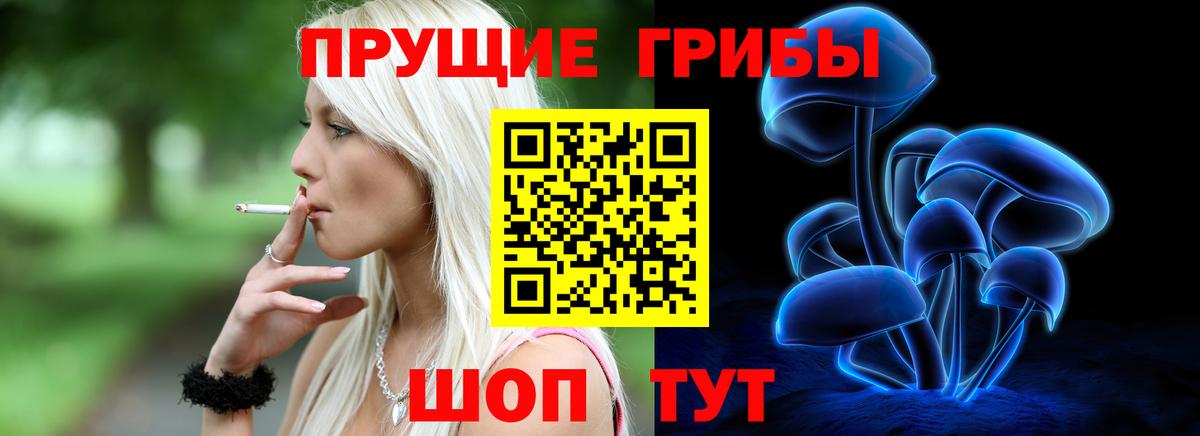Саратов  Псилоцибиновые грибы Psilocybine cubensis  Вход с VPN 